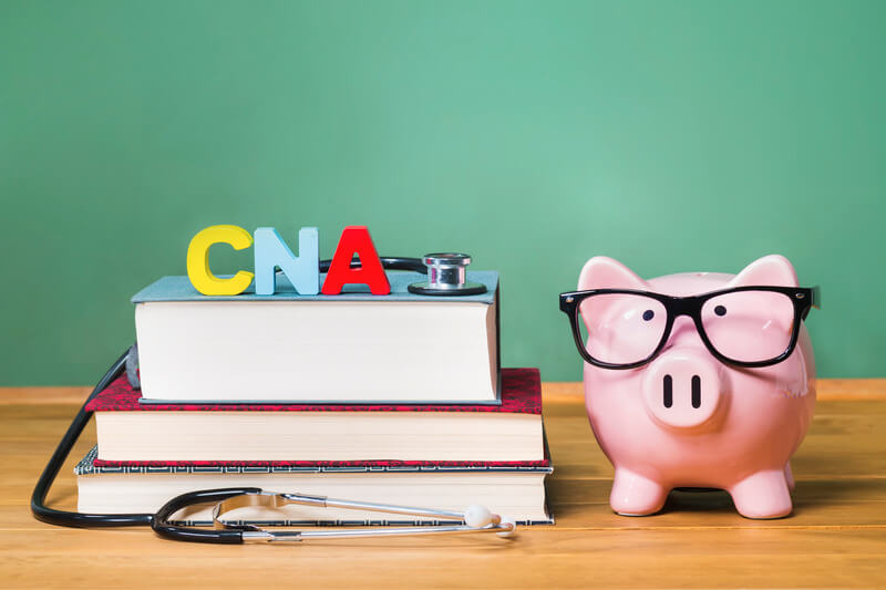 Certified Nursing Assistant CNA theme with pink piggy bank - CNA Training Institute